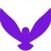 THINFO logo - Similar company to Digitivup