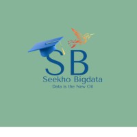 Seekho Bigdata Institute logo - Similar company to Trendytech - Big Data By Sumit Mittal