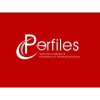 PERFILES logo - Similar company to Index Matamoros