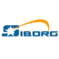 Siborg Srl