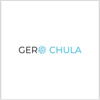 Gero chula logo - Similar company to Mojaev Africa