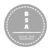 BICHRI ASSURANCE logo - Similar company to Touba Ca Kanam