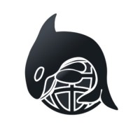 Digital Oracle LLC logo - Similar company to Agency Services