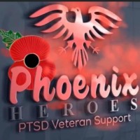 Phoenix Heroes CIC logo - Similar company to Veterans In Communities