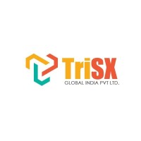 Trisx Global India Pvt Ltd. logo - Similar company to Levitica