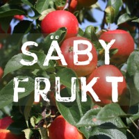Säby Frukt logo - Similar company to Excellent Moving