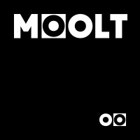 MOOLT - Molding Solutions logo - Similar company to Insizium, S.A.