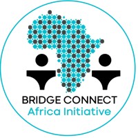 Bridge Connect logo - Similar company to Civic Tech Consulting
