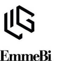 EmmeBi logo - Similar company to Emmebi Spa