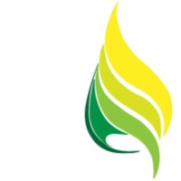 Premier Tuah Energi logo - Similar company to Pt. Pendopo Multi Karya