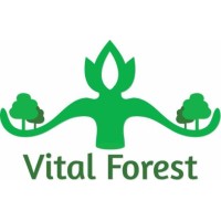 Vital Forest logo - Similar company to Studiearena