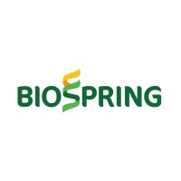 BioSpring logo - Similar company to Cdc Construction
