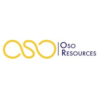 Oso Resources, LLC logo - Similar company to Intellese, Llc