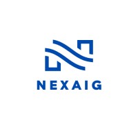 Nexaig Softech Private Limited logo - Similar company to Wide Care Services