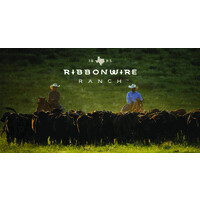 Ribbonwire Ranch logo - Similar company to Chuck & Dave'S