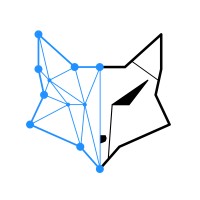 datafox consulting GmbH logo - Similar company to Data Insight
