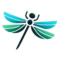Dragonfly accounts systems logo - Similar company to Teqnoid