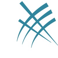 MG Paradigm logo - Similar company to Vesalii