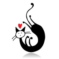 Advocat Rescue