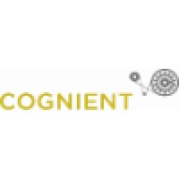 Cognient Group