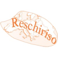 Reschiriso di Stefano Pezzoni & C sas logo - Similar company to Deseh