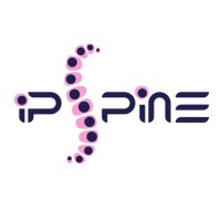 iPSpine logo - Similar company to Bamos! Webstudio