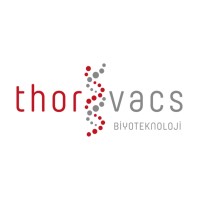 THORVACS Biotechnology logo - Similar company to Barbiotech Biyoteknoloji Enerji Savunma A.Ş.