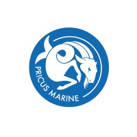 Pricus Marine logo - Similar company to Poseidon Robotics, Llc