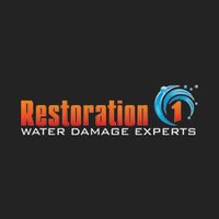 Restoration 1 of St Louis logo - Similar company to Superior Service