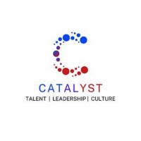 Catalyst Human Capital Solutions logo - Similar company to CHCS Internet Technologies