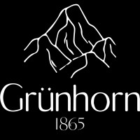 Grünhorn Brands logo - Similar company to Play Pop