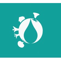 OBENE GROUP logo - Similar company to Rmdc Lab
