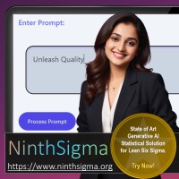 Ninth Sigma Process and Quality Excellence Services logo - Similar company to Plum Ai