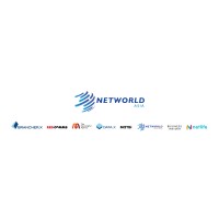 NetworldAsia logo - Similar company to Networld Solutions - A Leading Adtech Company