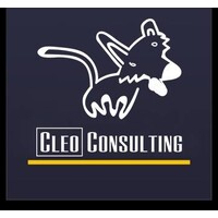 Cleo Consulting, Inc. logo - Similar company to Cognitive Concepts