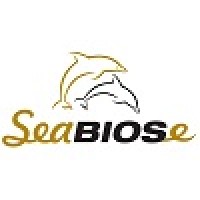 Seabiose