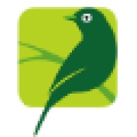 Silvereye Learning Resources logo - Similar company to Silvereye