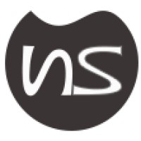 NWSLAB logo - Similar company to Techwings