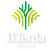 liTerda logo - Similar company to Aydın & Aydın Avukatlık Ortaklığı (Law Firm)