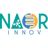 Naor Innov logo - Similar company to Dynfi
