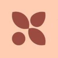 Shemsi logo - Similar company to X