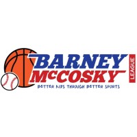 Barney McCosky Baseball Basketball League logo - Similar company to Bk Sports