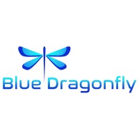 Blue Dragonfly, LLC logo - Similar company to Netstock