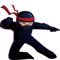 Web Analytics Ninja logo - Similar company to Web Developer For Hire