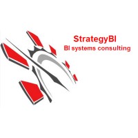 Strategy BI logo - Similar company to Fandata Analytics