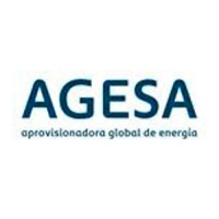 Aprovisionadora Global de Energía S.A. logo - Similar company to Gassur