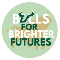 Bulls for Brighter Futures at the University of South Florida logo - Similar company to Rich Analytics