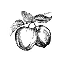 Johnny Appleseed Orchards