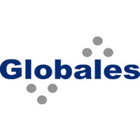 Globales Informática logo - Similar company to Vidasoft