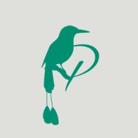 Pacamara Coffee Roasters logo - Similar company to Dakasi